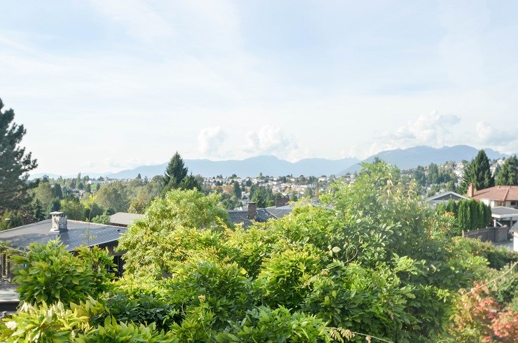 1529 Holdom Avenue, Burnaby North 18