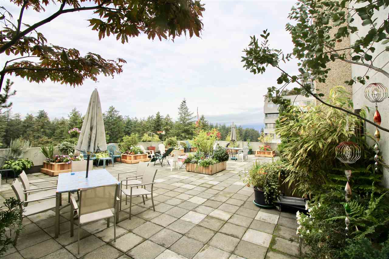 1501 4194 Maywood Street, Burnaby South 15