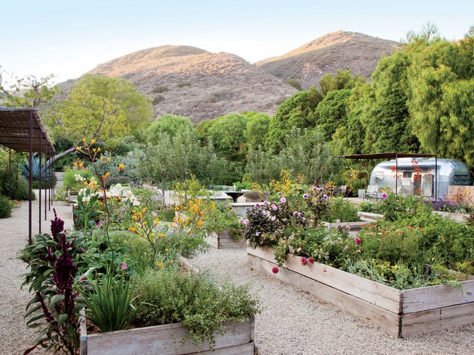 GARDEN TRENDS 2017