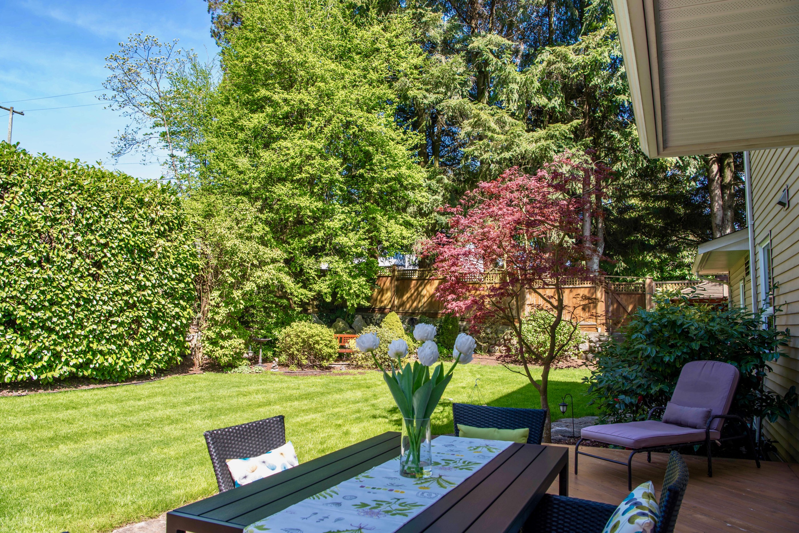 767 Edgar Avenue, Coquitlam 22