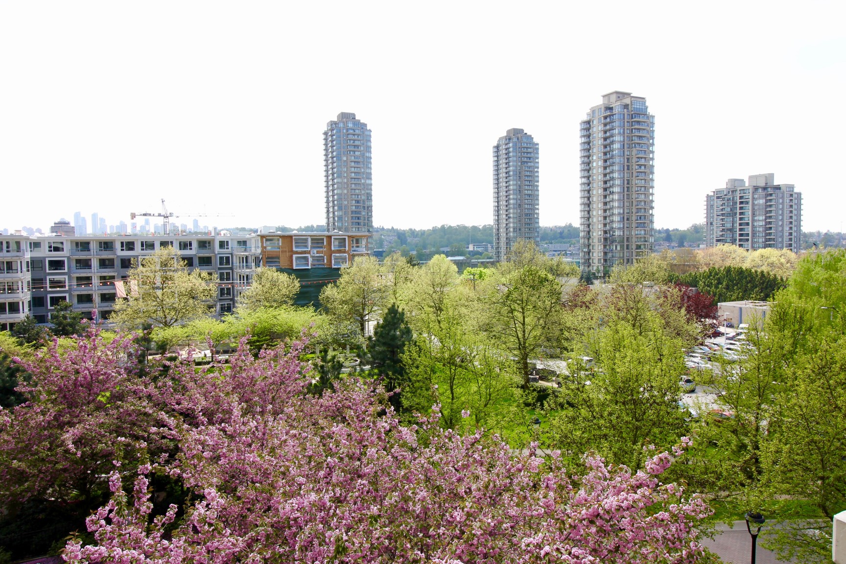 502 2088 Madison Avenue, Burnaby 12