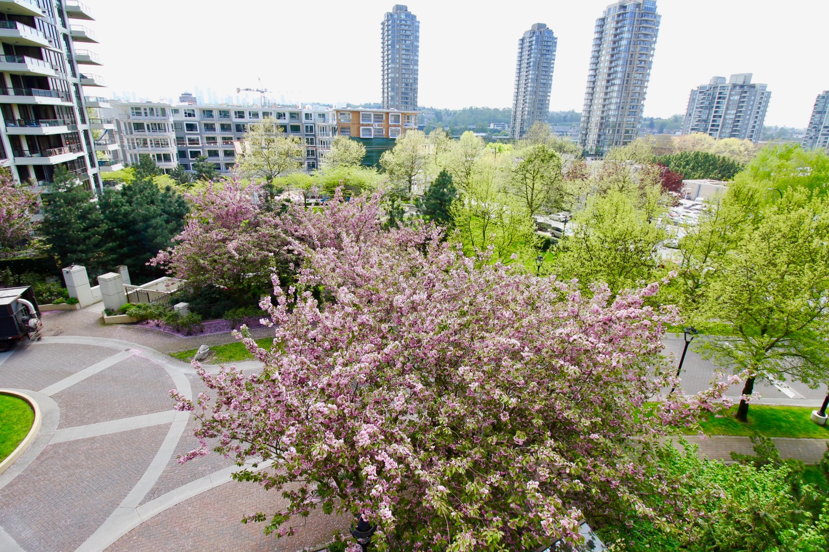 502 2088 Madison Avenue, Burnaby 13