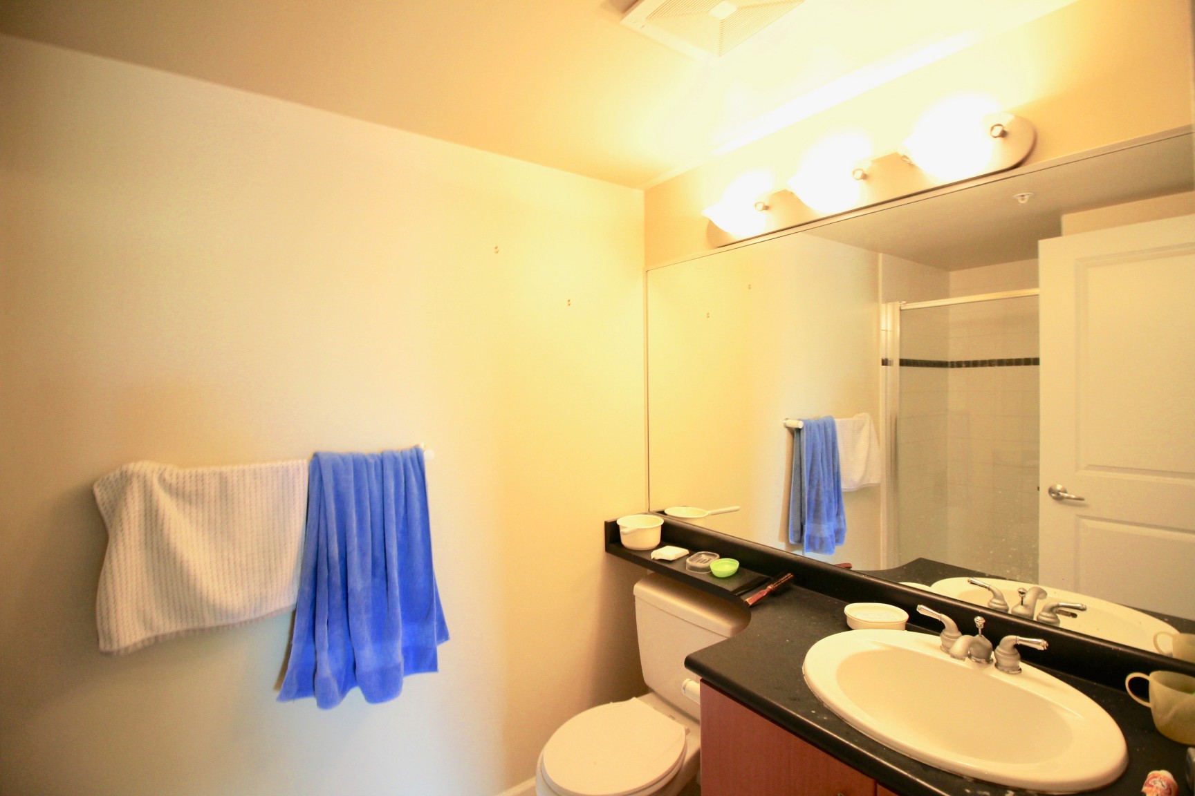 402 4388 Buchanan Street, Burnaby 15