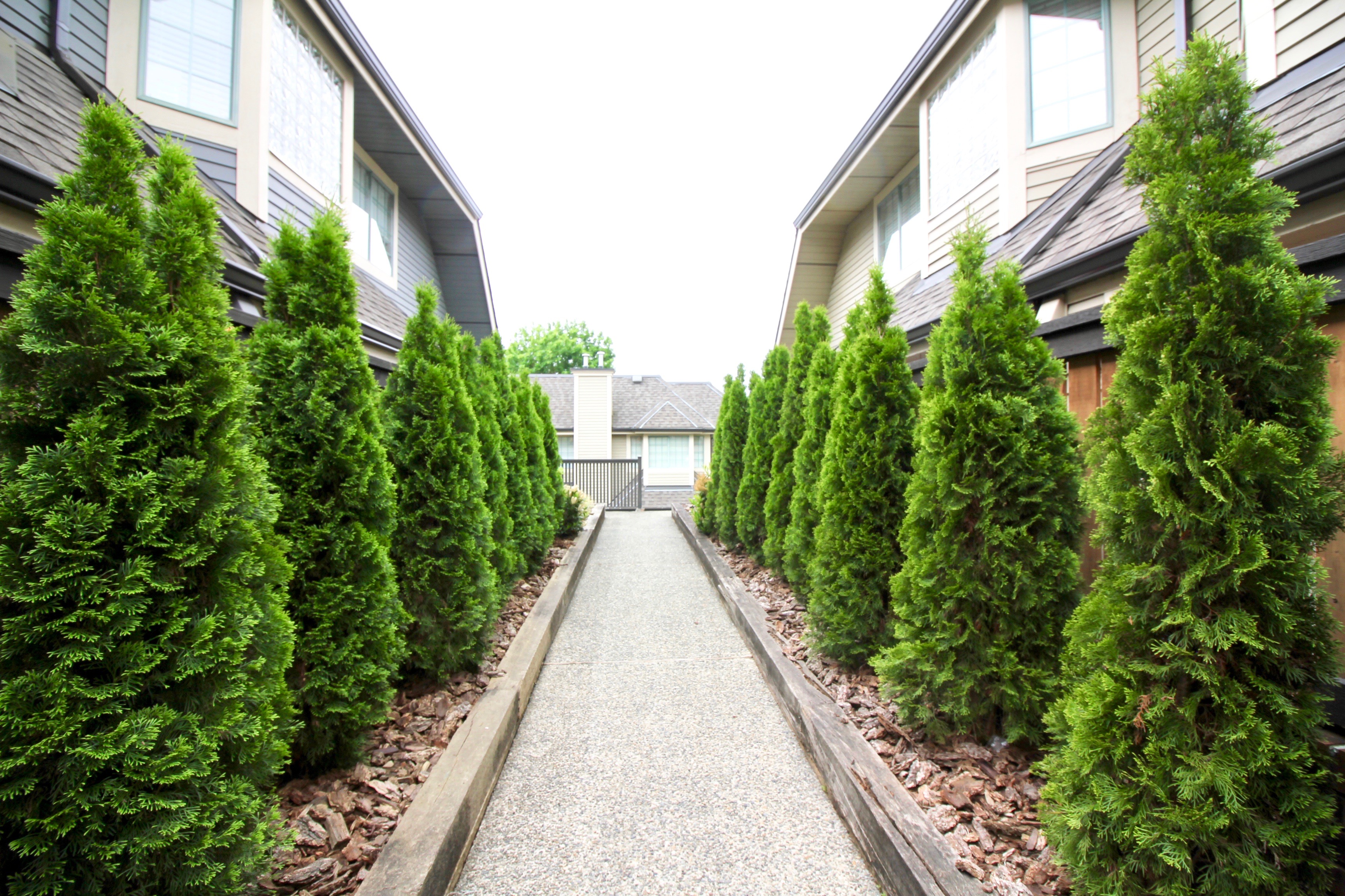26 355 Duthie Avenue, Burnaby 18