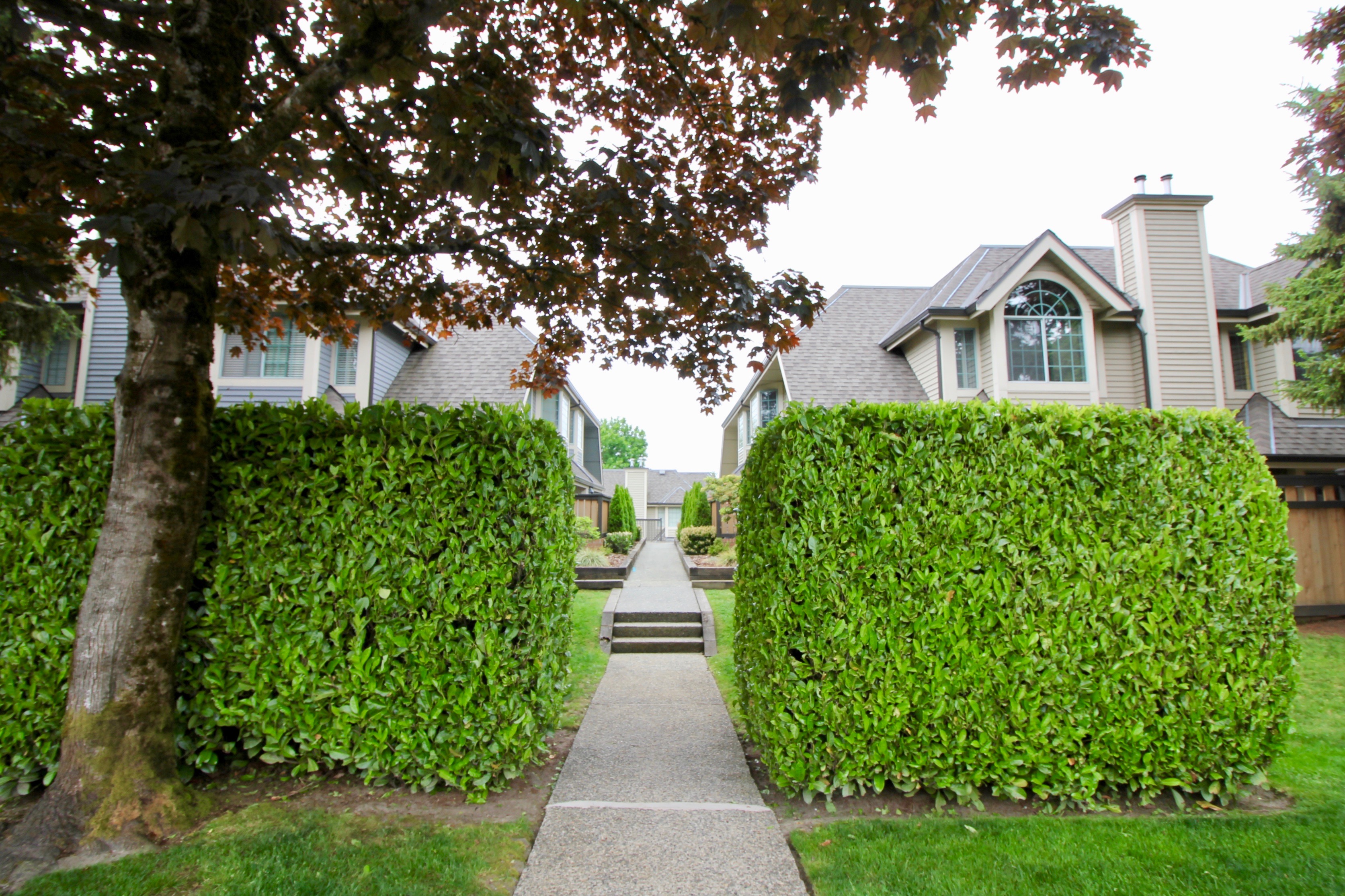 26 355 Duthie Avenue, Burnaby 19