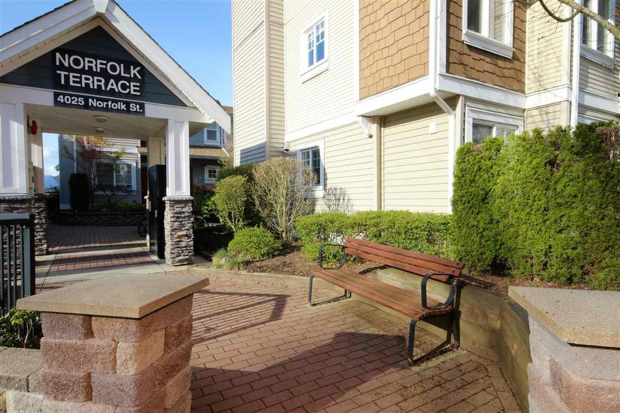 Norfolk Terrace 3