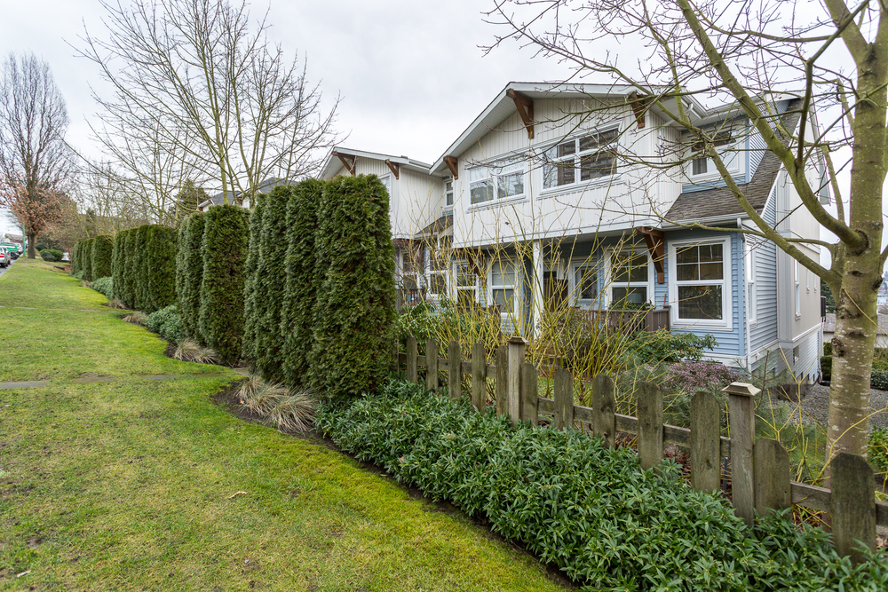 Pender Lane At The Heights 2