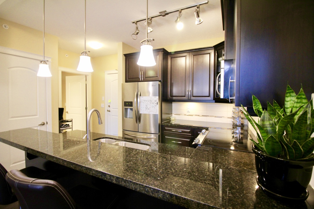 403 12655 190A STREET, PITT MEADOWS 6