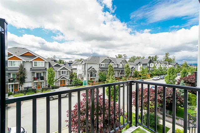41 7686 209 STREET, LANGLEY 3