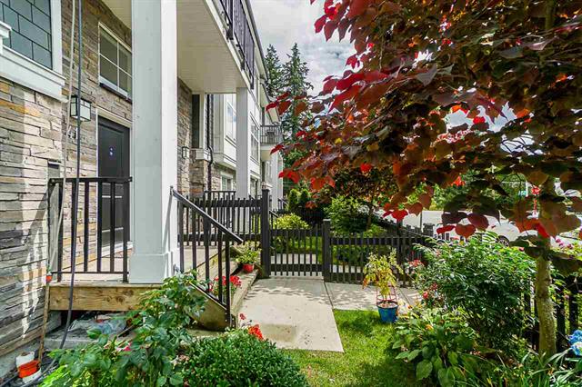 41 7686 209 STREET, LANGLEY 20