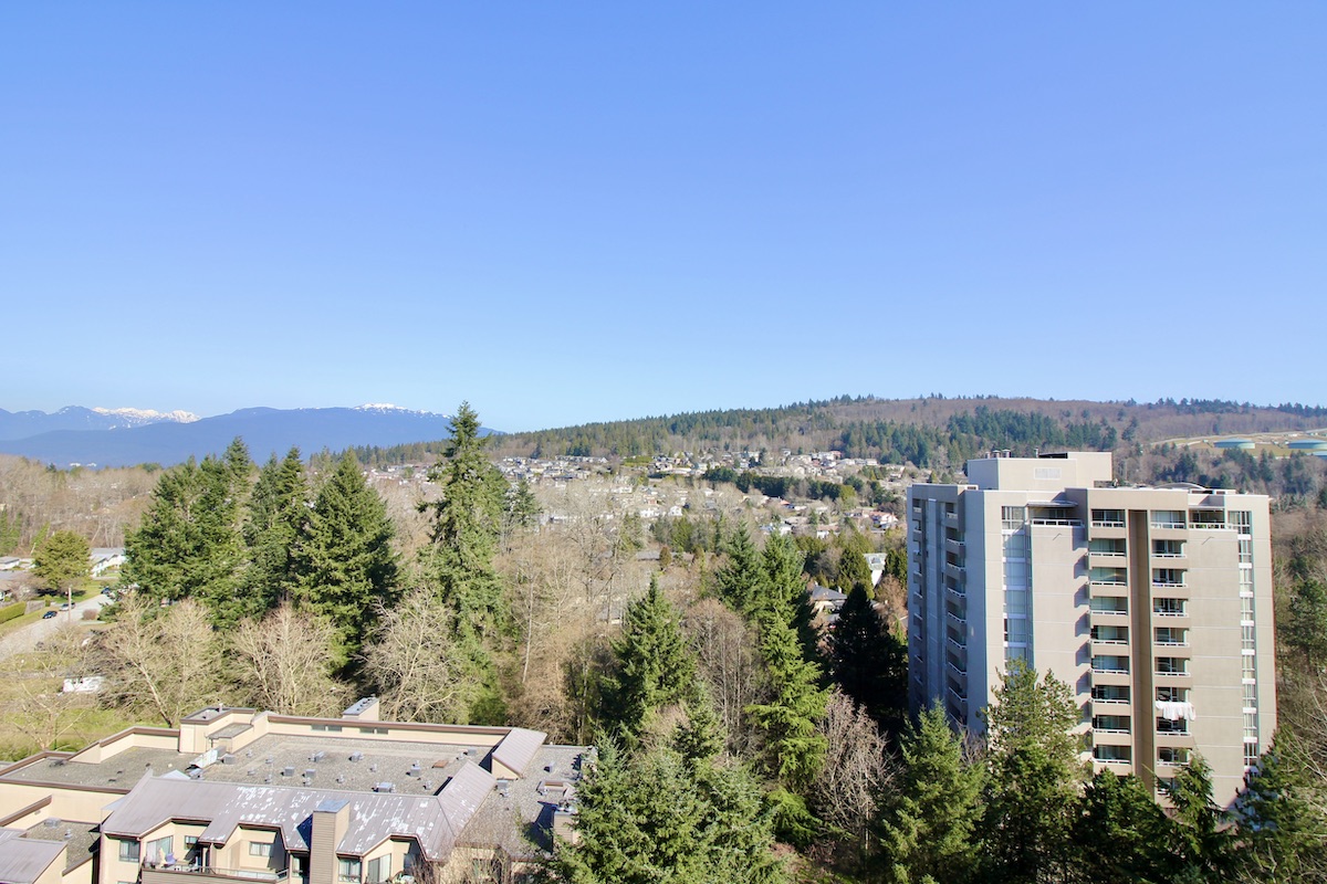 1505 7321 Halifax St, Burnaby 11