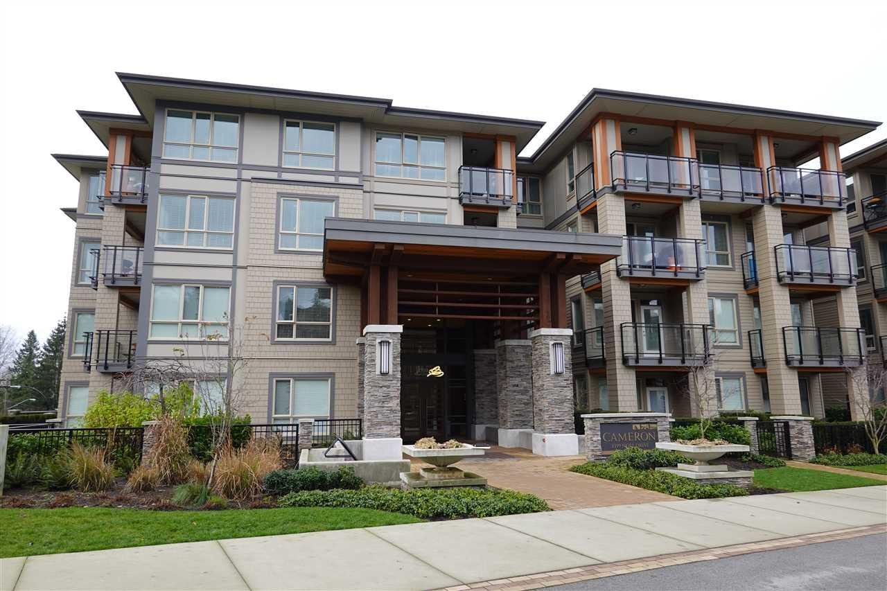 Cameron | 3399 Noel Dr 3