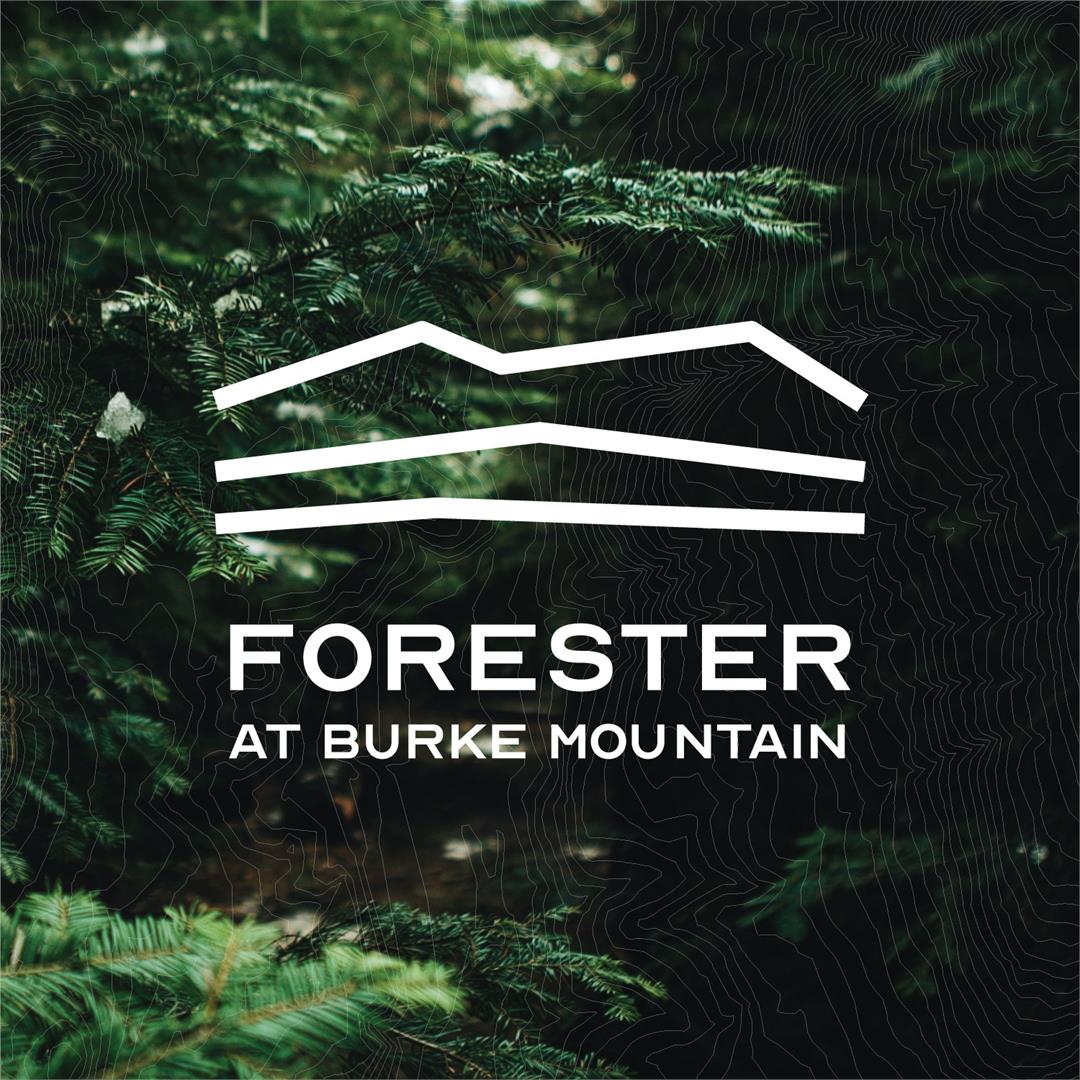 Forester at Burke Mountain 2