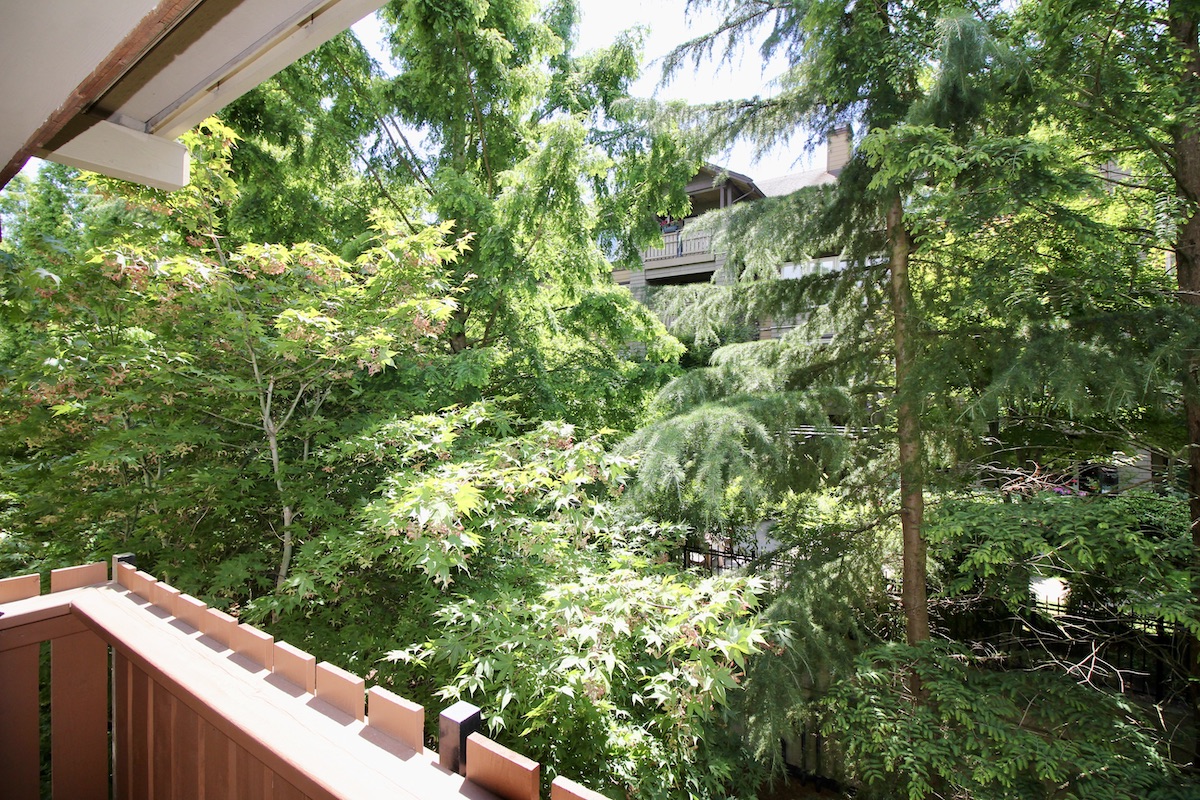 313 18 Smokey Smith Pl, New Westminster 18