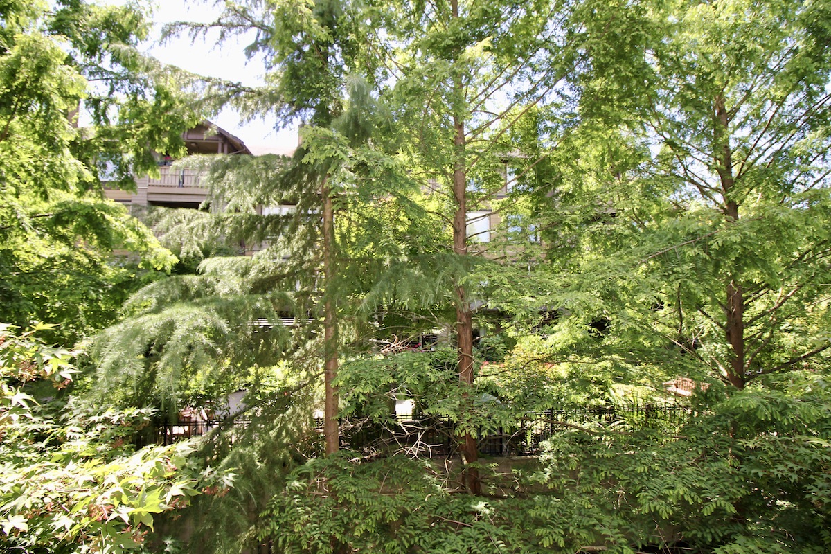 313 18 Smokey Smith Pl, New Westminster 19