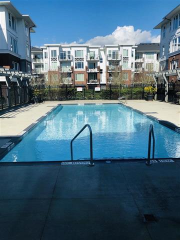 315 9399 Odlin Rd, Richmond 12
