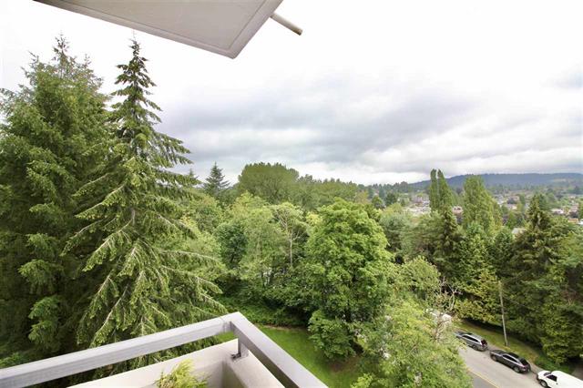 704 2060 Bellwood Ave, Burnaby 18