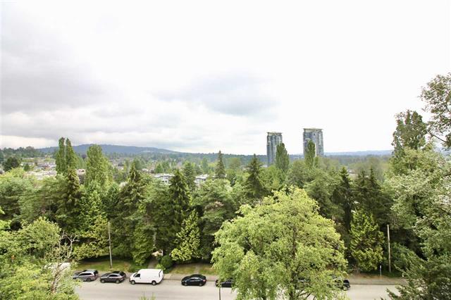 704 2060 Bellwood Ave, Burnaby 19