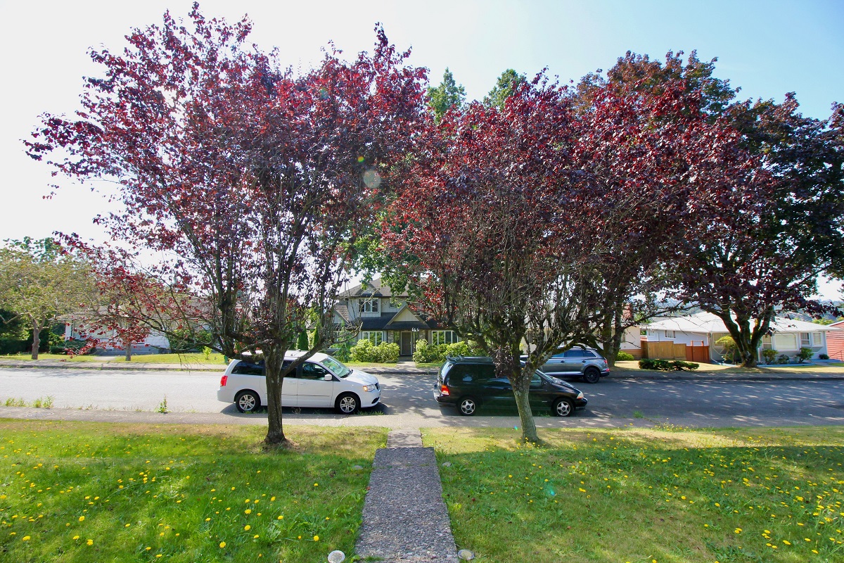 6467 Parkcrest Dr, Burnaby 21