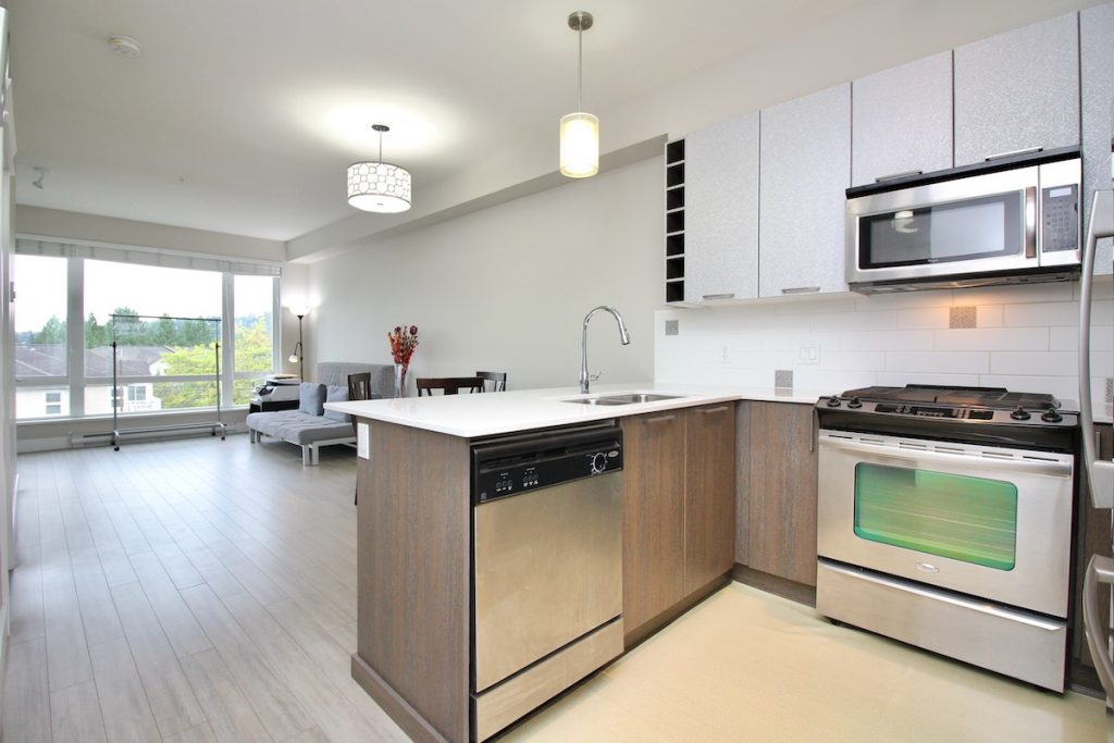 311 1188 Johnson St, Coquitlam