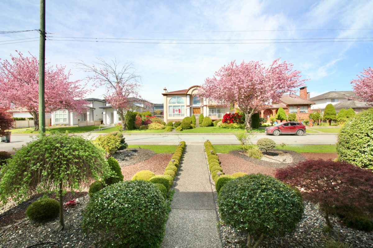 6628 Kitchener St, Burnaby 3