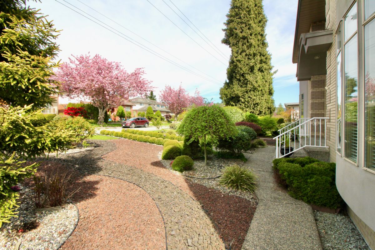 6628 Kitchener St, Burnaby 39