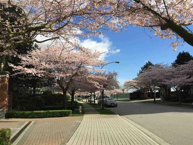 903 6611 Southoaks Crescent, Burnaby South 4