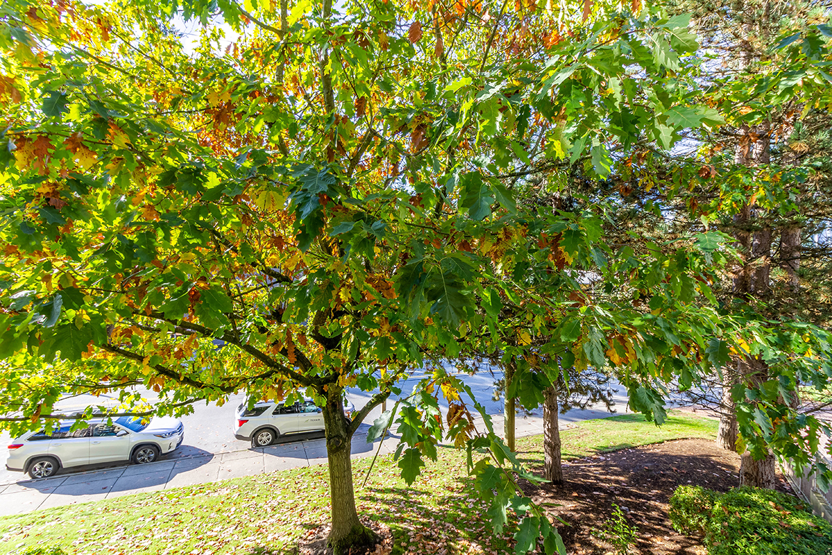 203 1190 Pipeline Road, Coquitlam 8