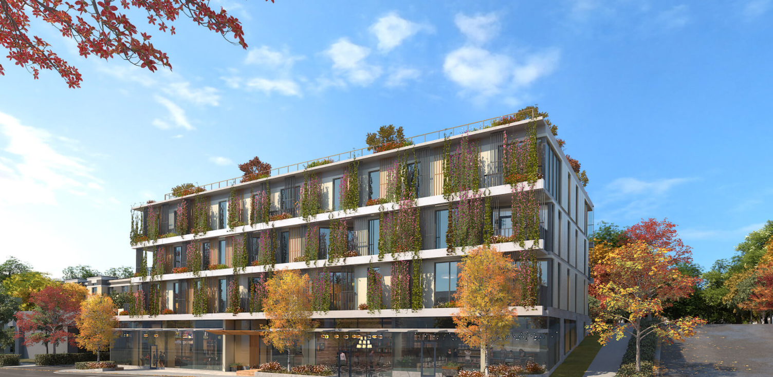 The Arbutus 3
