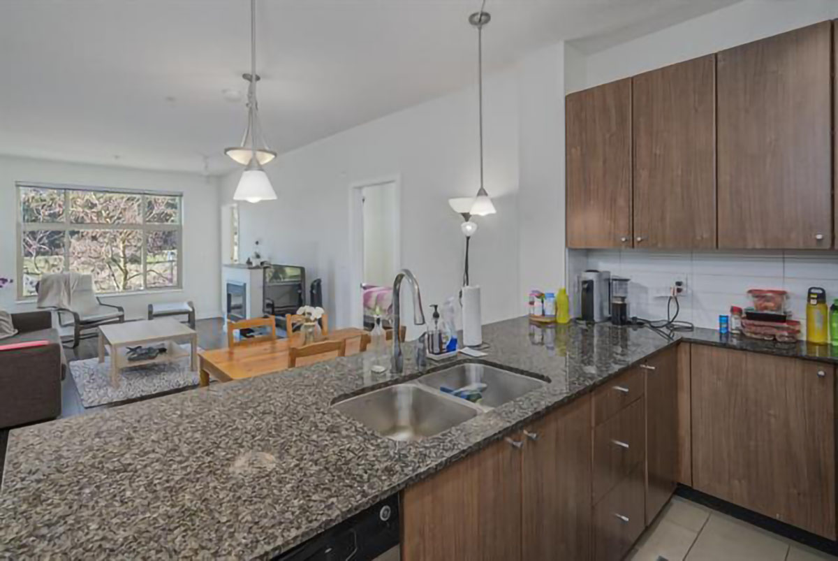 302 255 Ross Drive, New Westminster 13