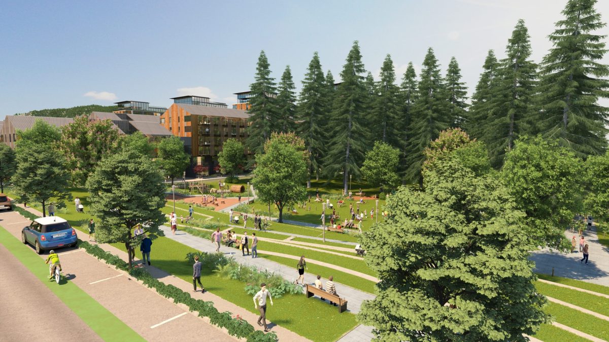 Woodland Park 8