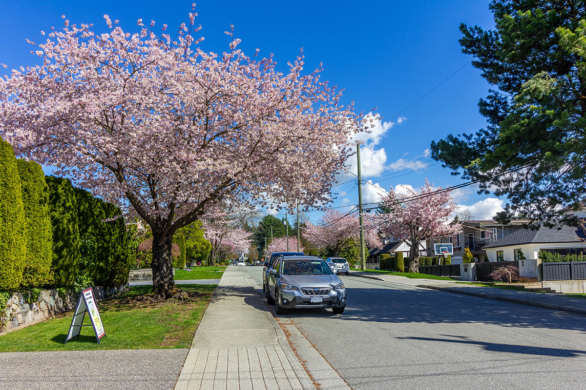 5331 Venables Street, Burnaby 3