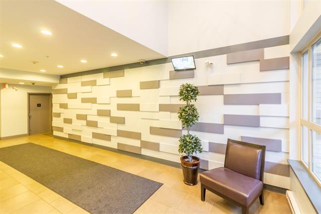 210 2484 Wilson Avenue, Port Coquitlam 13
