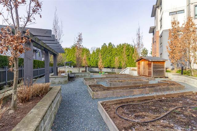8 2988 151 Street, South Surrey White Rock 25