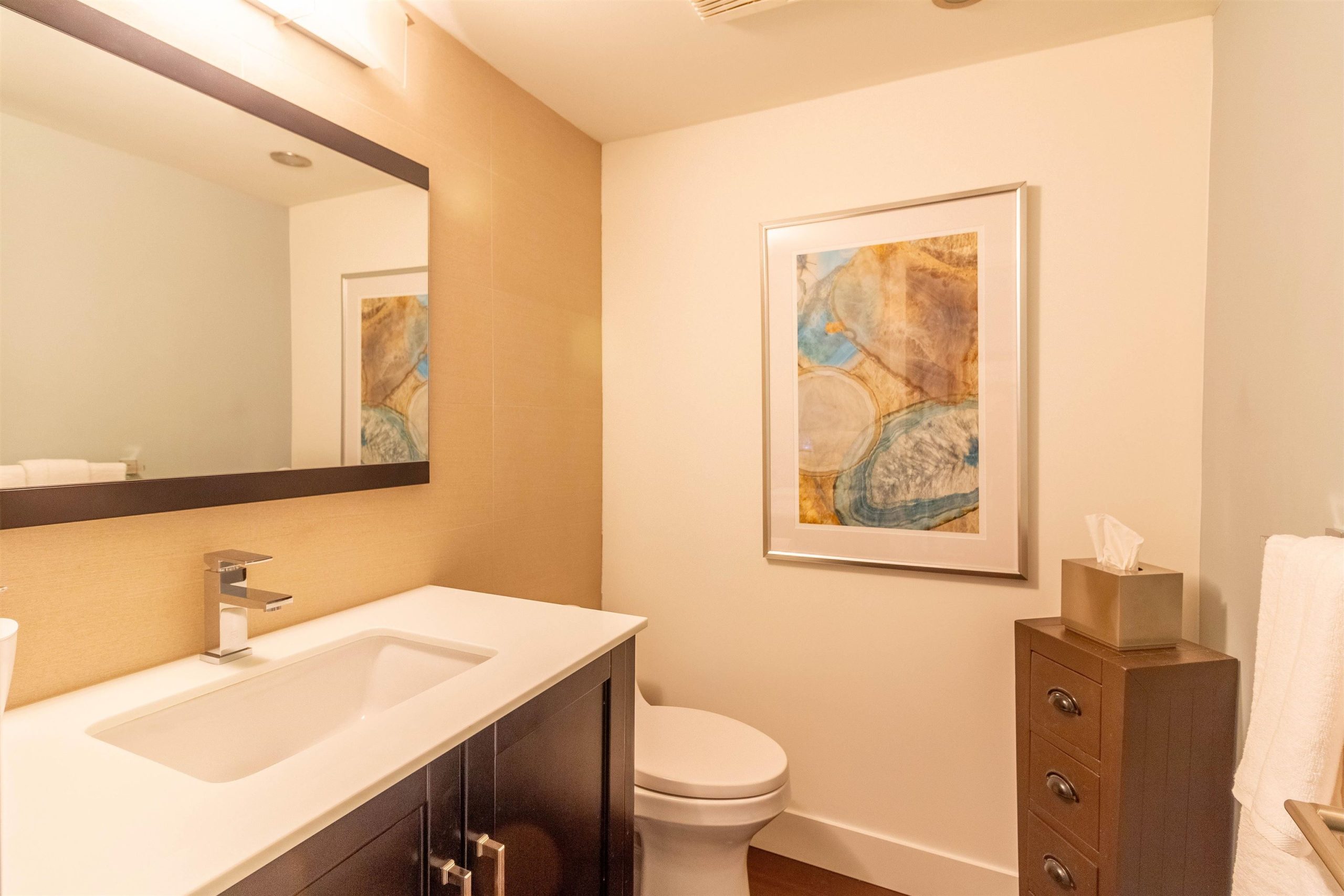 9509 WILLOWLEAF PLACE BURNABY 17
