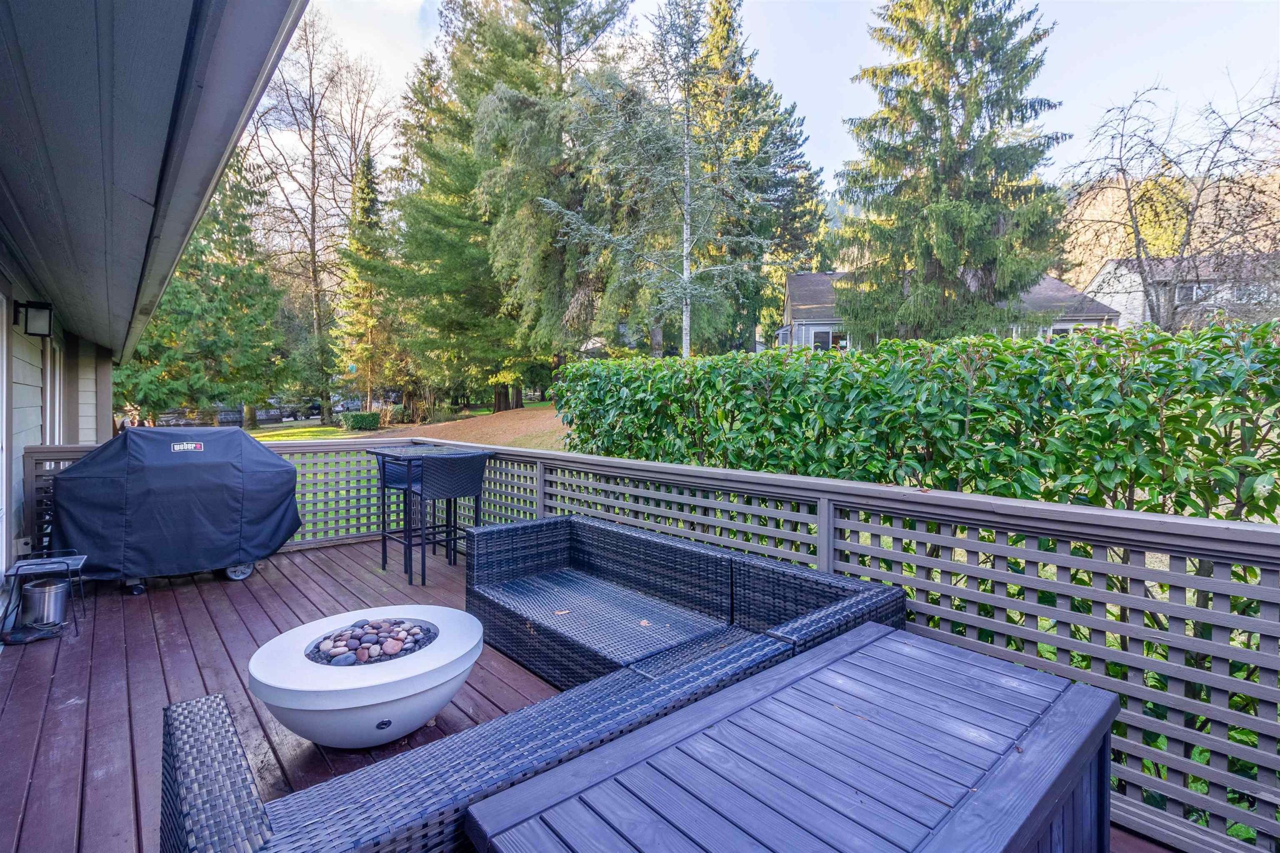 9509 WILLOWLEAF PLACE BURNABY 33