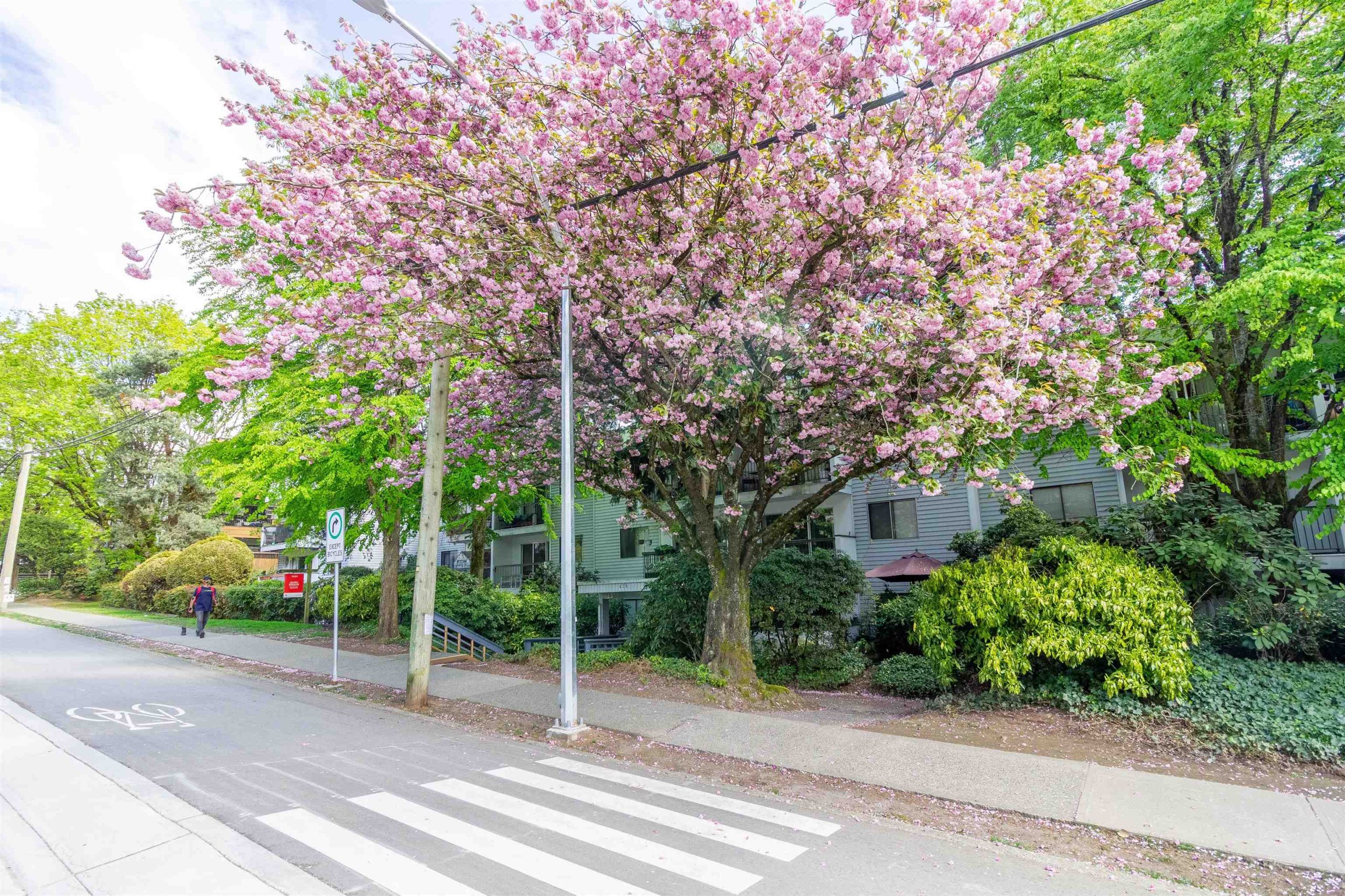206 428 AGNES STREET, NEW WESTMINSTER 19
