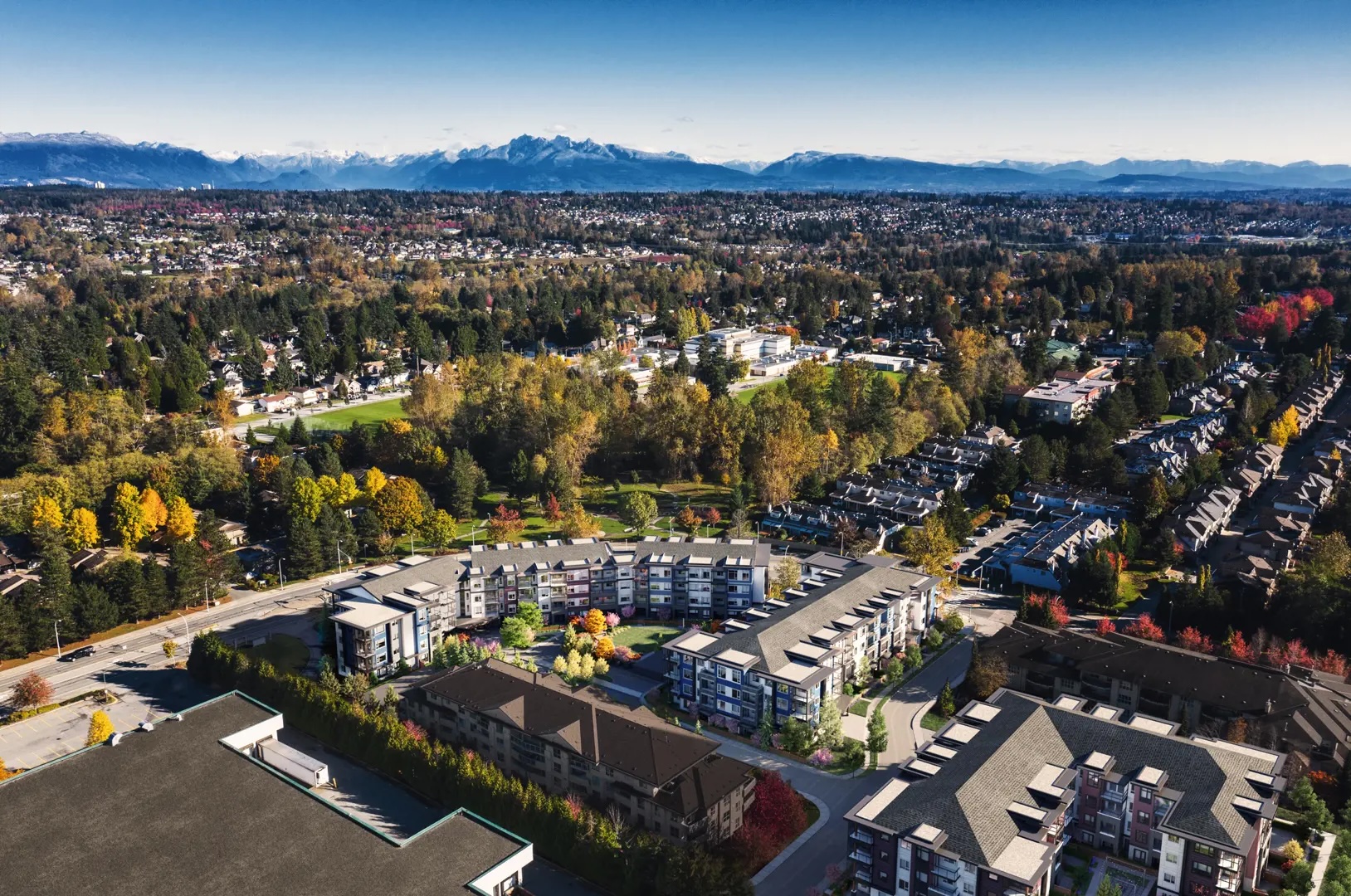 Silva 3, Surrey BC 3