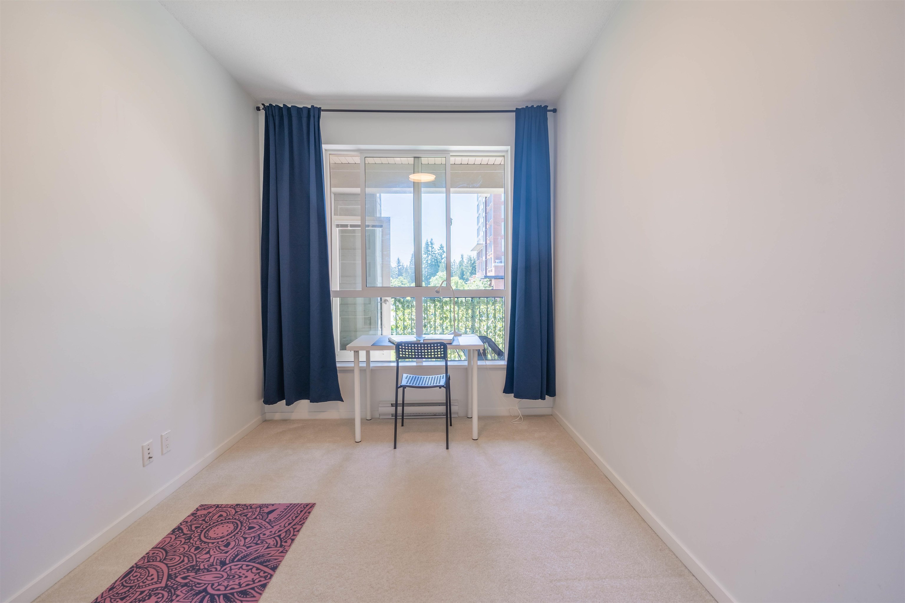 203 1135 WINDSOR MEWS 12