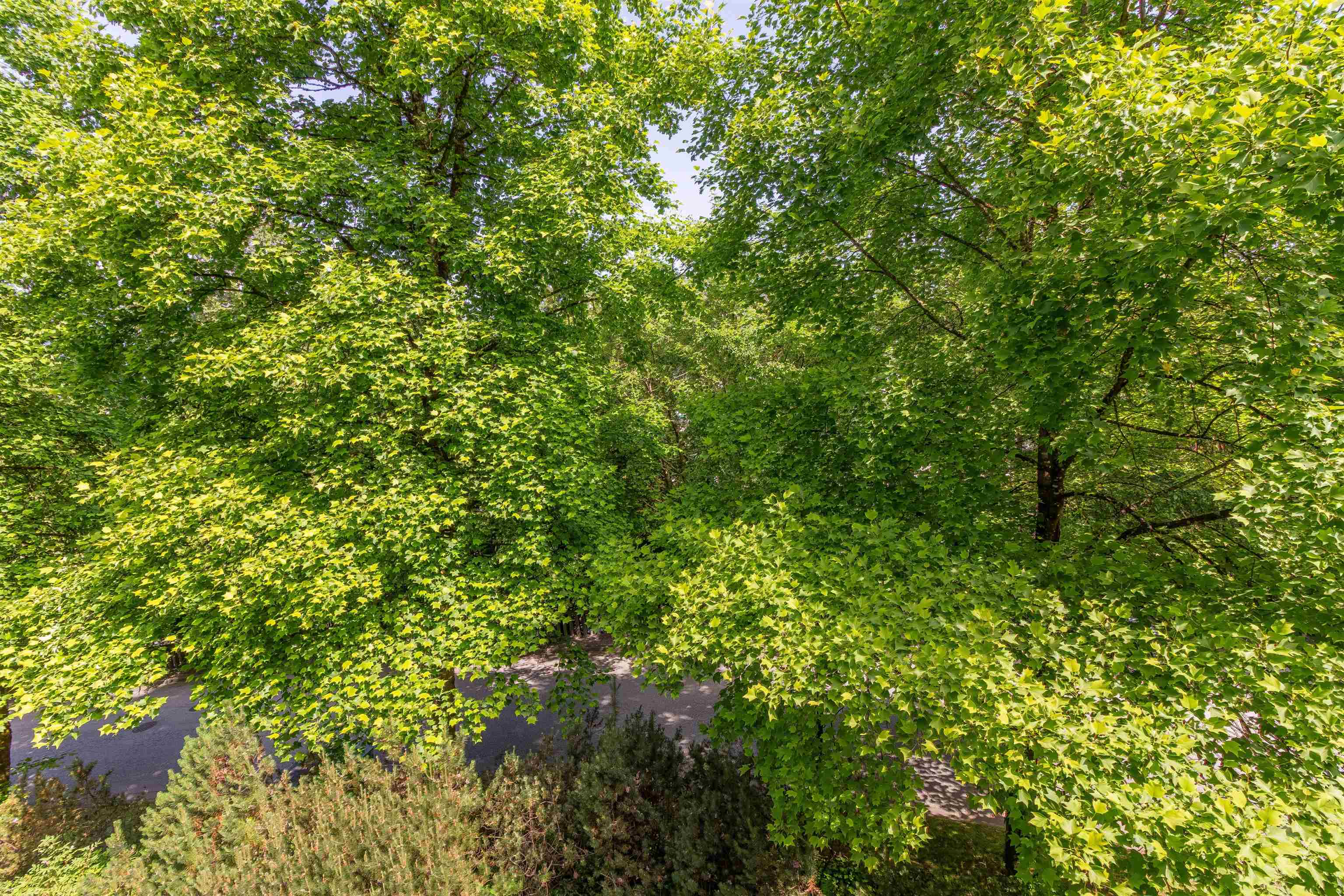 3 3033 TERRAVISTA PLACE 18