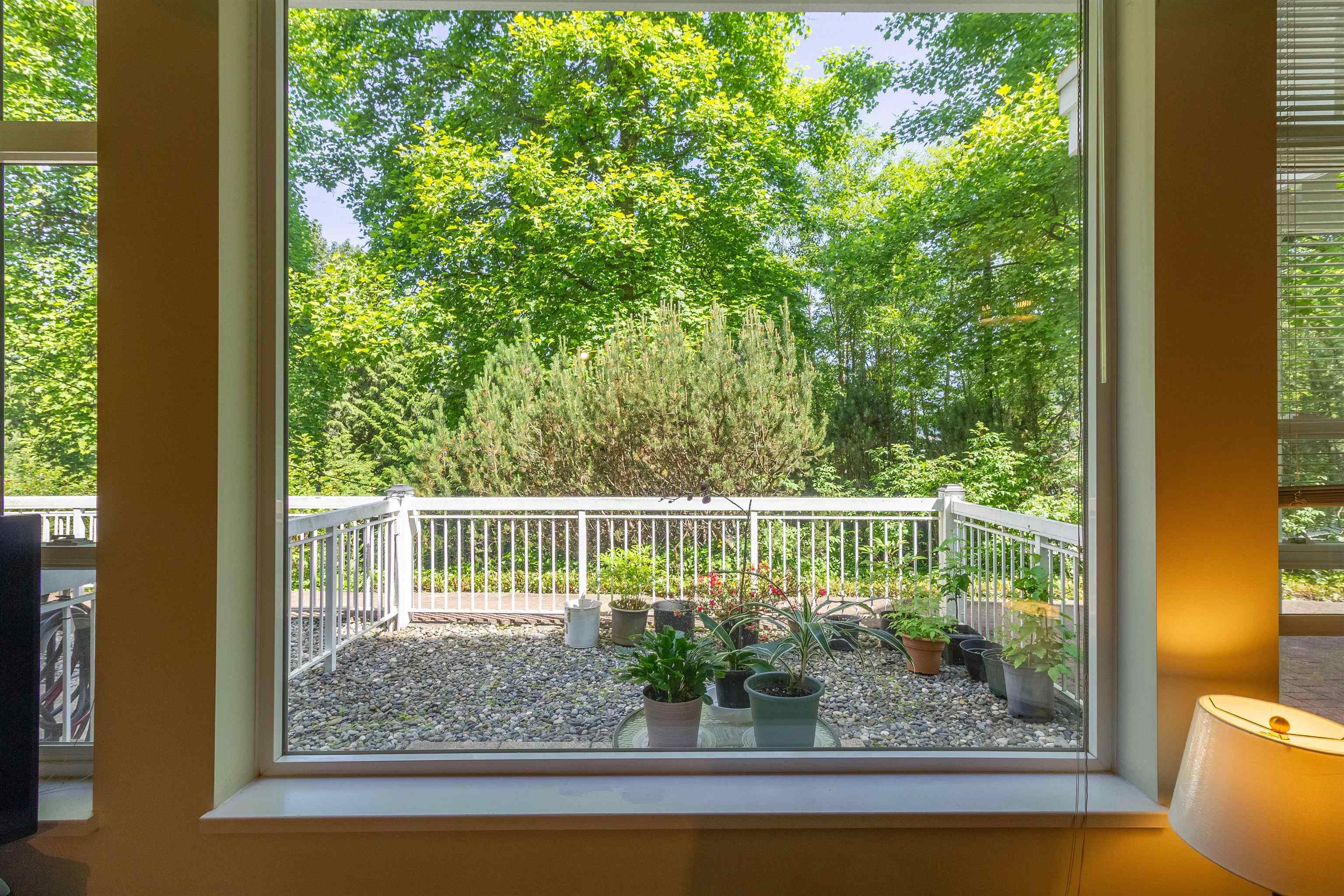 3 3033 TERRAVISTA PLACE 13