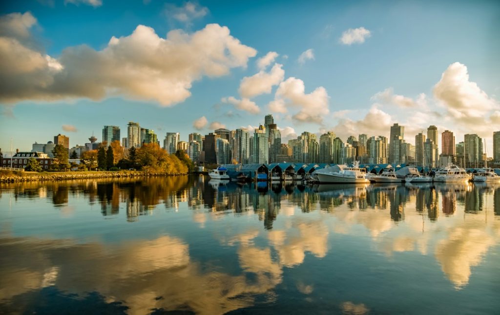 November 2025 Real Estate Market Stats