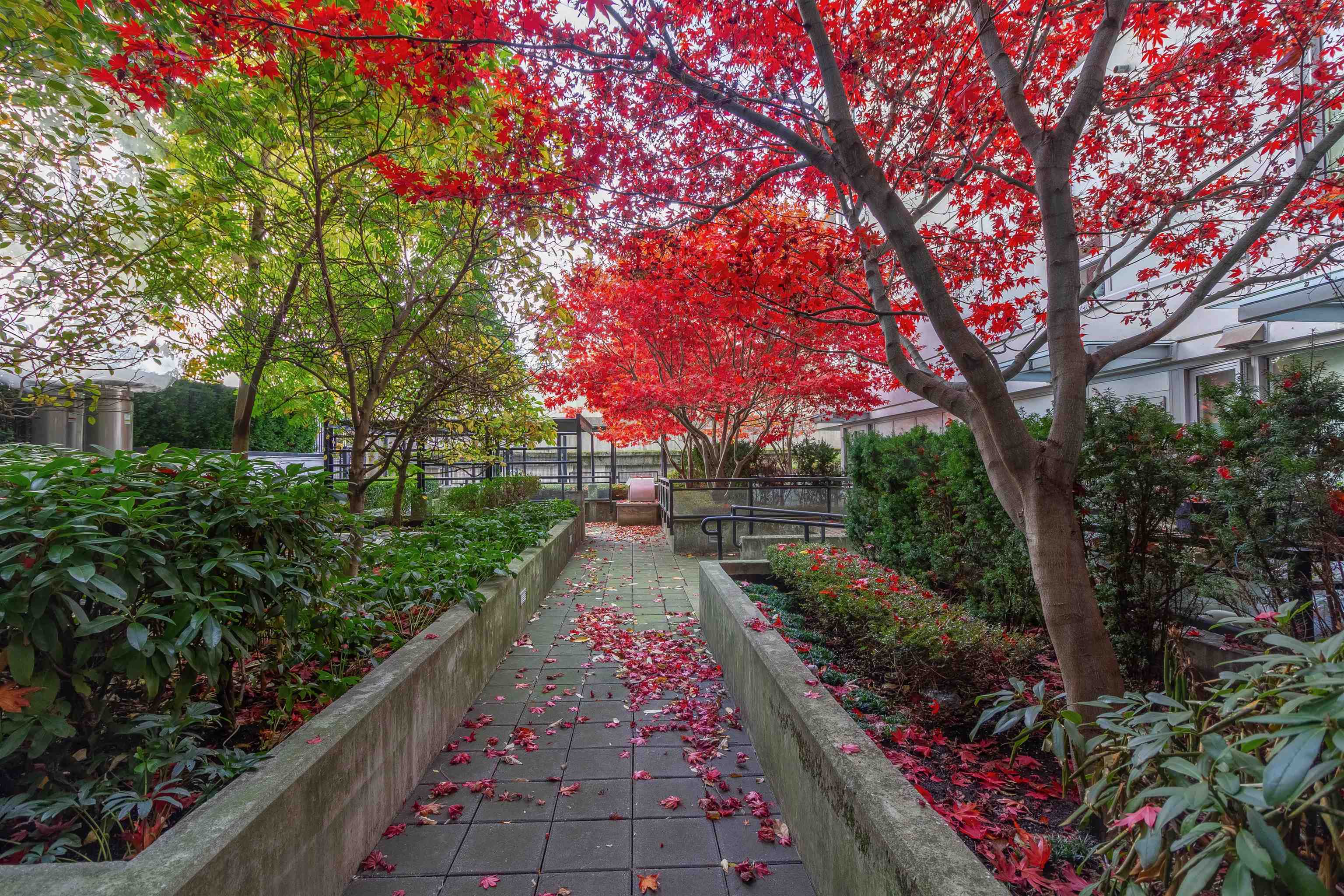 1810 188 KEEFER STREET 33