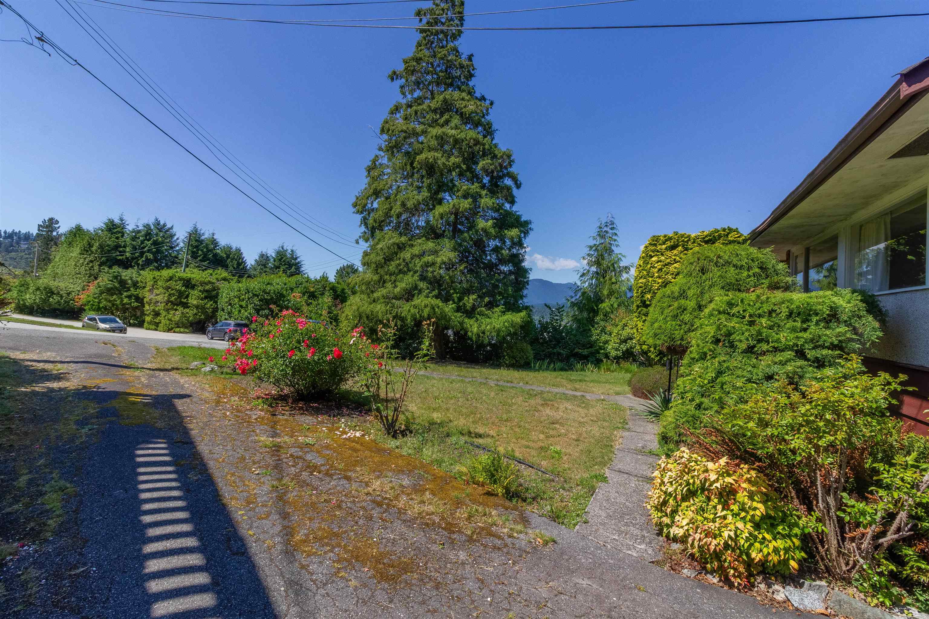 446 Northcliffe Crescent 36