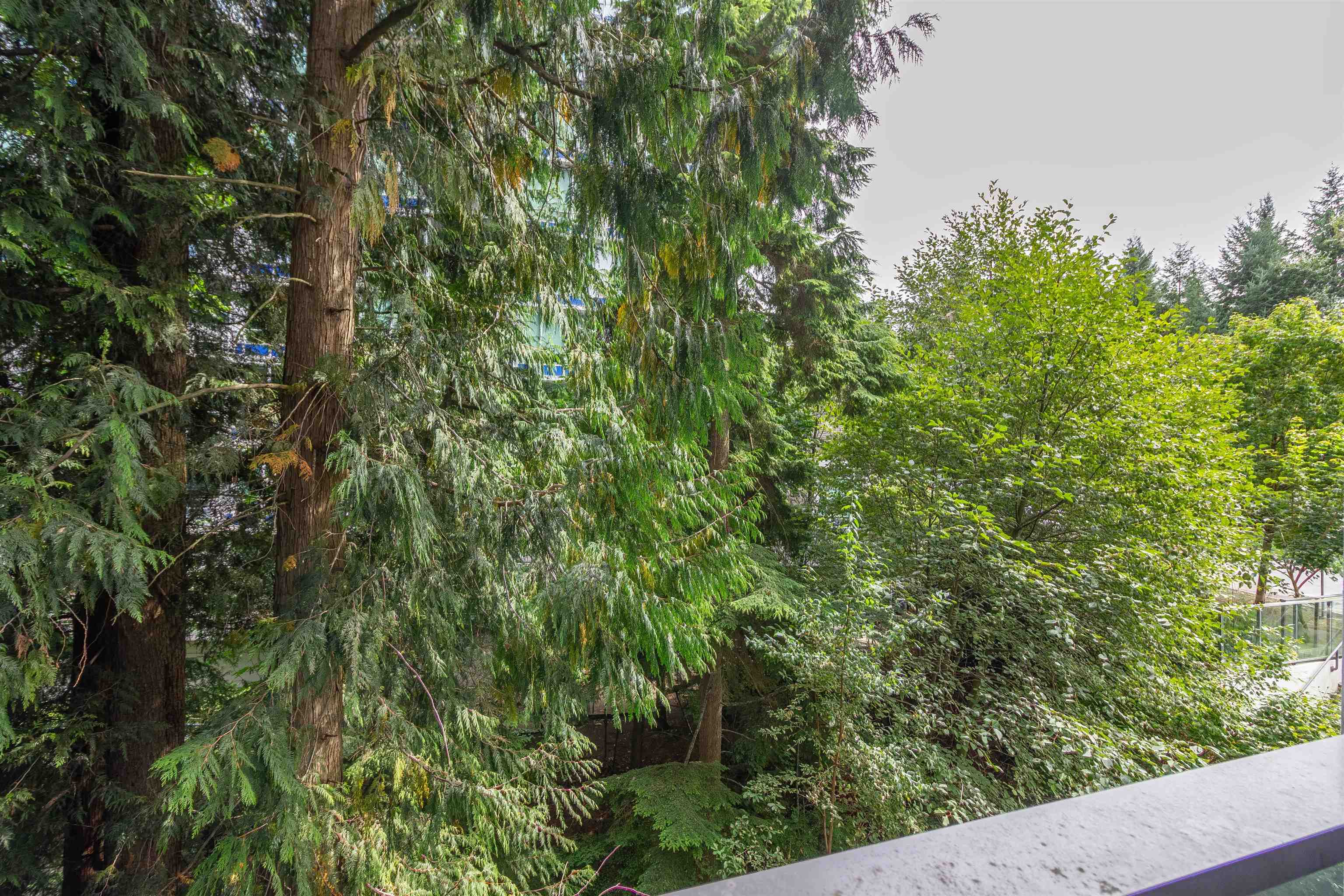 201 - 8940 University Crescent 16
