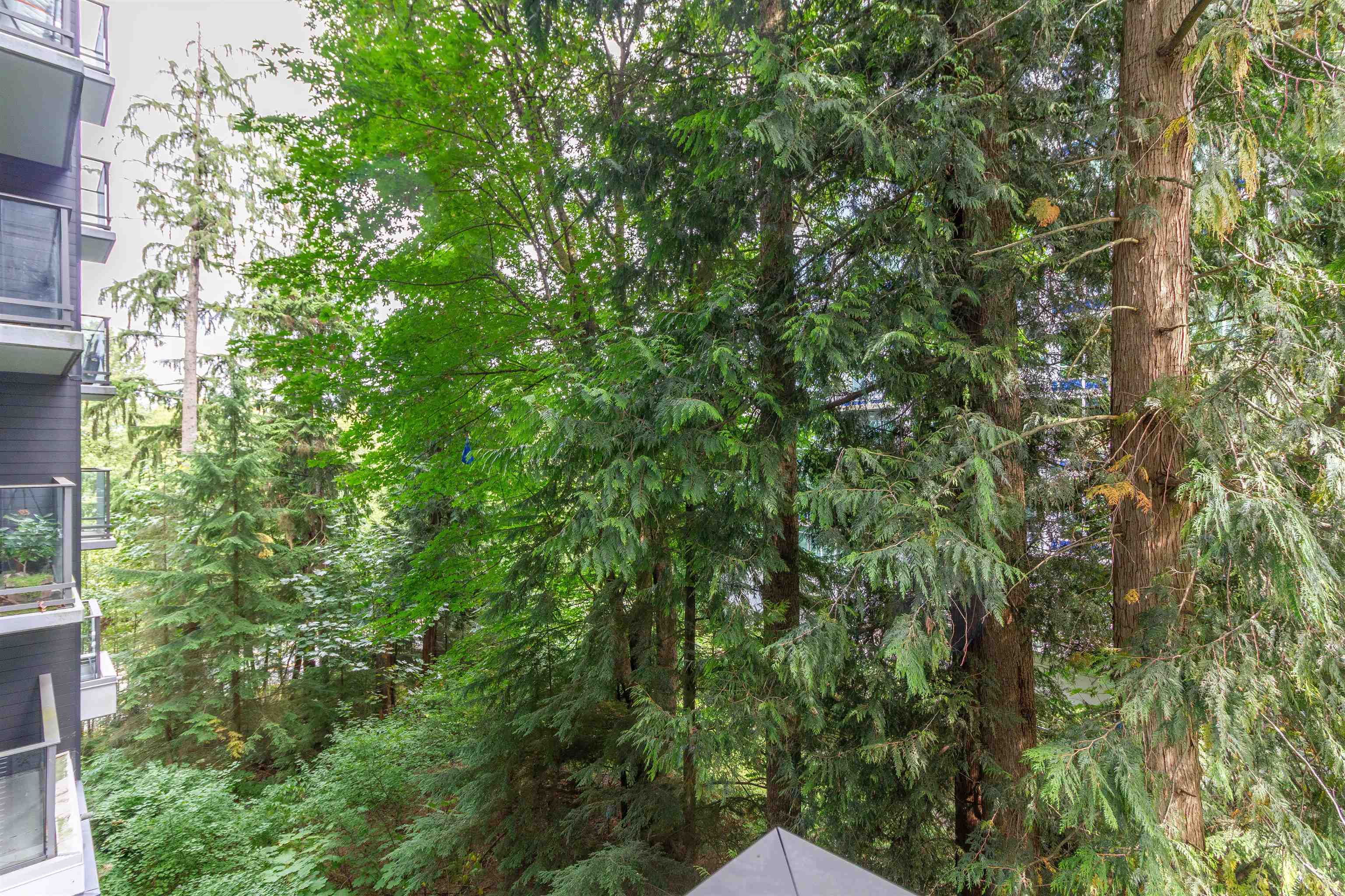 201 - 8940 University Crescent 15